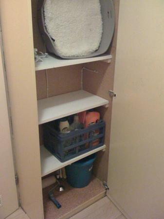 makes progress with project hall closet. Shelves! Now towels can go there instead of in tiny bathroom.